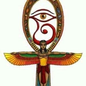 Meet your Posher, Liz